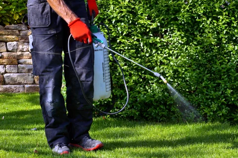 Lawn Weed Control - LawnBright